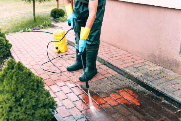 Best Solar Panel Cleaning  in Cusseta, GA